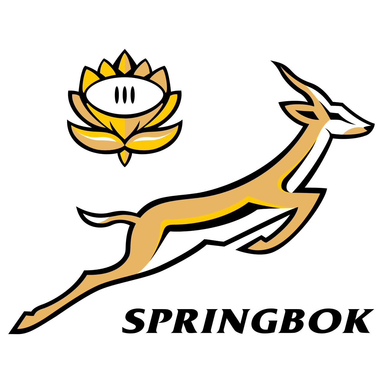 South Africa Springboks