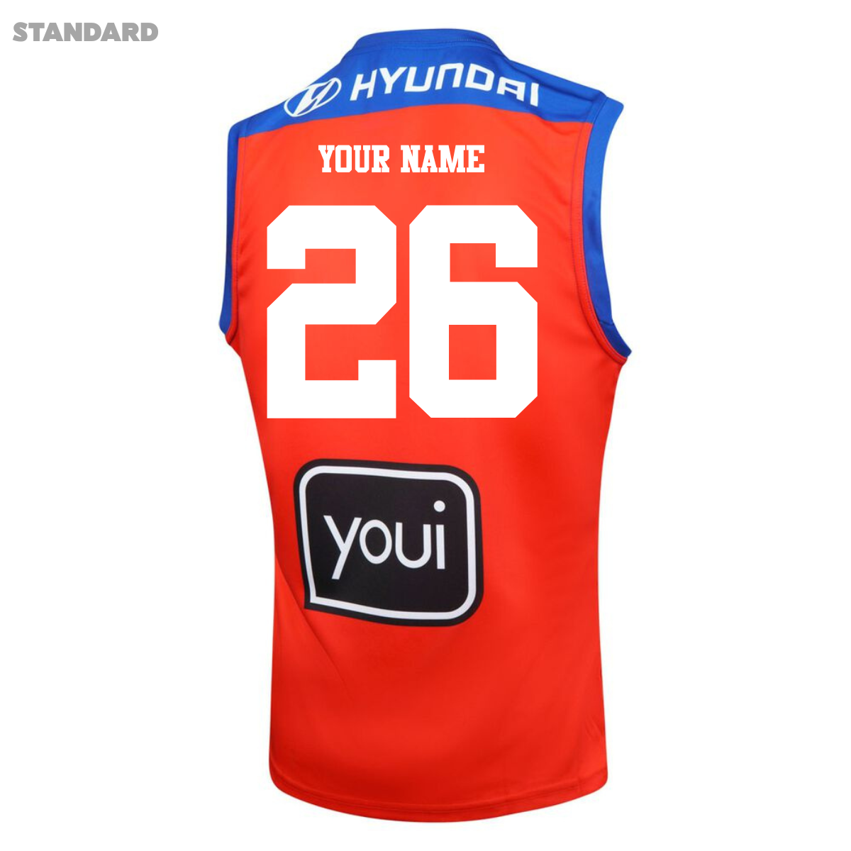 2026 Brisbane Lions ADULTS Away Guernsey