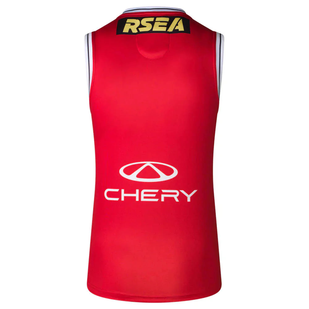 2025 St Kilda Saints AFL Clash Guernsey - Mens
