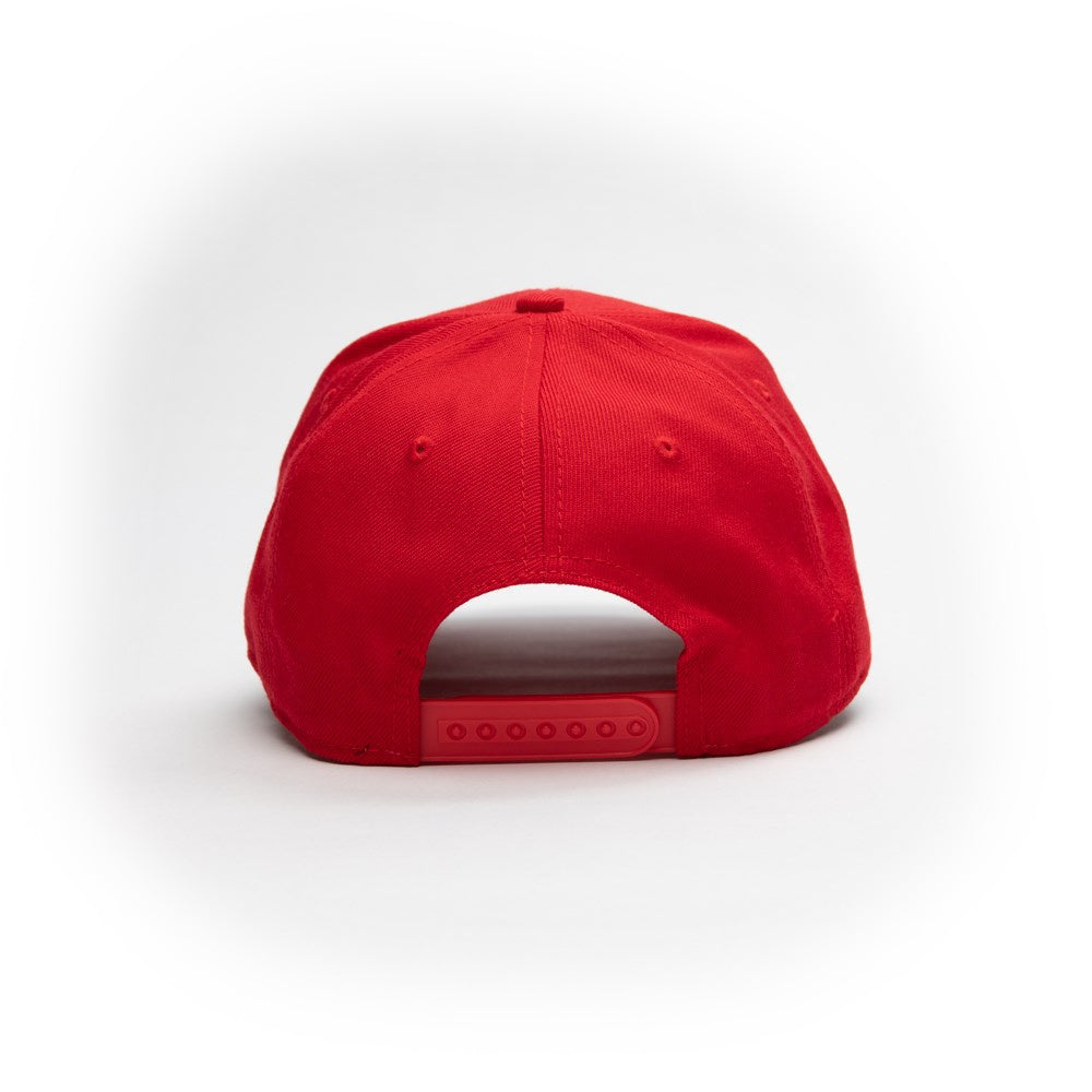 St George Illawarra Dragons NRL Stadium Cap