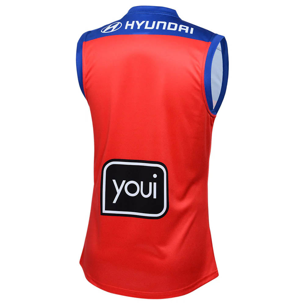 2025 Brisbane Lions AFL Away Guernsey - Mens